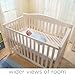 Summer Infant Wide View Digital Video Monitor