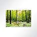 Produktbild LYSEL® Absorberbild - Lassen Sie Sich von der Natur ablenken! 80x60cm - Akustikbild Schallschlucker mit 50mm Schaumstoff aus Basotect® G+