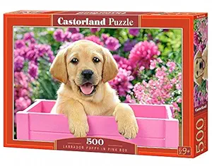 Castorland Labrador Puppy in Pink Box Puzzle (500 Piece)