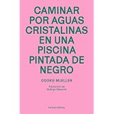 Caminar por aguas cristalinas en una piscina pintada de (LOS TRES EDITORES)