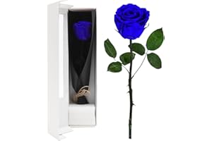 YNNHUDEEP Ewige Rose Rot mit Stiel - Echte konservierte Rose in Premium Geschenkbox,3-5 Jahre haltbar,für Frau,Freundin,Oma,Valentinstag,Weihnachten,Muttertag,Geburtstag,Hochzeitstag,Jahrestag-Blau