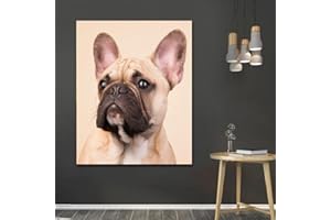 Bouledogue Français Pet Chien Animaux 5D Diamond Painting Kit For Adults Kids, Artisanat D'Art De Bricolage Pour Les Cadeaux D'Anniversaire De Décoration Murale À La Maison 30X40Cm