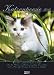 Katzenpoesie 2014 by