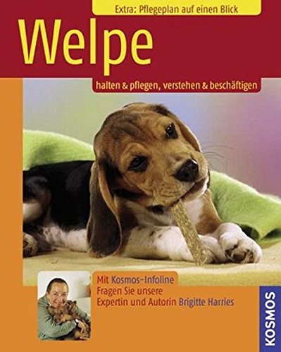 Download Welpe Download Welpe