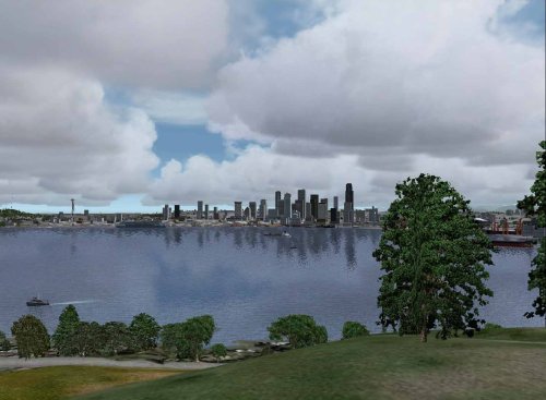 Flight Simulator X - Professional Edition  Importaci  n alemana 