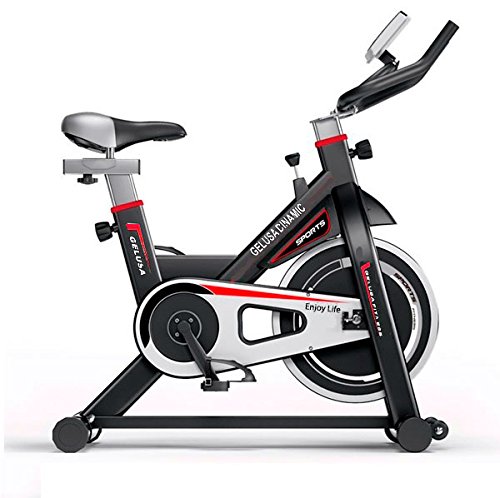 En Venta GELUSA Bicicleta Spinning Dinamic En línea