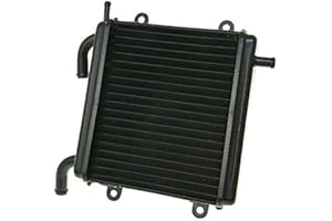 BIKE EQUIPMENT Kühler für Yamaha Aerox, MBK Nitro