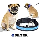 biltek® blau LED-Licht Hundehalsband–X-Large–Hund Pet Night Sicherheit Modische Blinklicht bis Halsband Nylon groß verstellbar