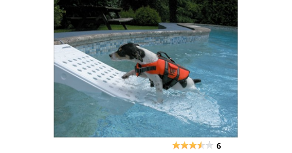 dog pool ramp amazon
