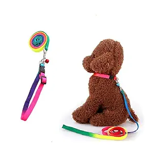 THE DDS STORE Pet Dog Puppy Nylon Collar Leash (Rainbow Colour)