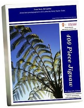 Media Storehouse 400 Piece Puzzle of Tree fern, Sri Lanka (8625866)