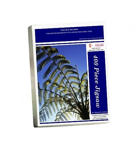 Media Storehouse 400 Piece Puzzle of Tree fern, Sri Lanka (8625866)