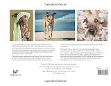 Image de Nice Nosing You: For the Love of Life, Dogs and Photography