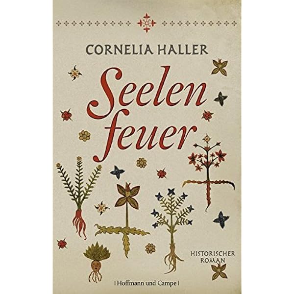 Seelenfeuer Haller Cornelia Amazon De Bucher