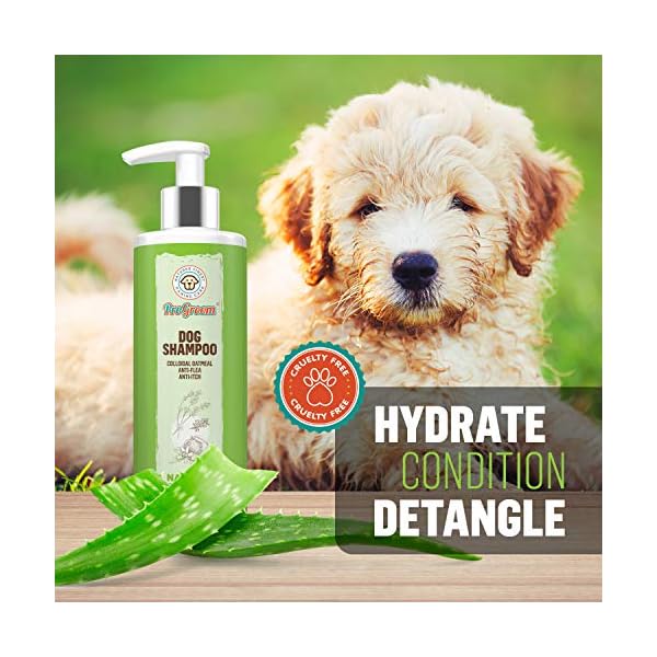 ProGroom Oatmeal Dog Shampoo Vegan, Organic, Natural Puppy Shampoo