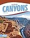 Produktbild Canyons (Landforms)