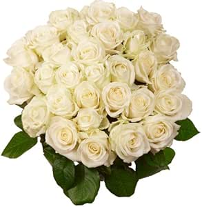 express blumenversand