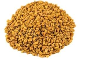 Jalpur Millers Graines De Fenugrec , 1.5 Kg (Lot 1)