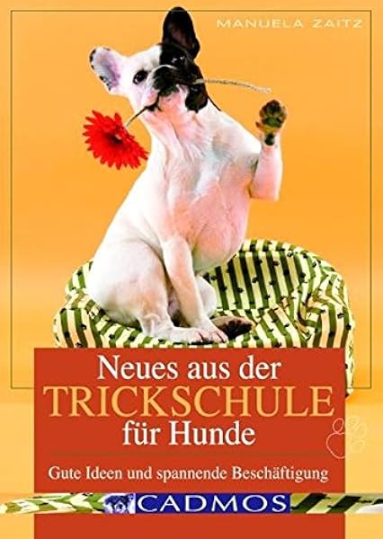 Neues Aus Der Trickschule Fur Hunde Gute Ideen Und Spannende Beschaftigung Cadmos Ratgeber Amazon De Zaitz Manuela Bucher