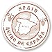 Produktbild 2 x Spanien Espana Vinyl Aufkleber Aufkleber Laptop Reise Gepäck Auto Ipad Schild Fun # 6578 - 10cm/100mm Wide