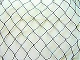 Malla 25 mm Easy Gardening - Red de protección para pájaros (4 x 10 m, MW 25 mm, resistente