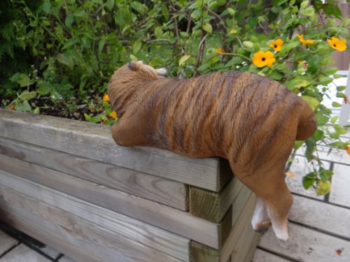 Freches Erdmännchen Kantenlieger Figur Gartenfigur TOP Tierfigur NEU - 2