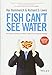 Fish Can't See Water: How National Culture Can Make or Break Your Corporate Strategy by Kai Hammerich, Richard D. Lewis