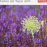 Farben der Natur - Kalender 2019: Kalender mit 53 Postkarten by 
