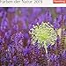 Farben der Natur - Kalender 2019: Kalender mit 53 Postkarten by 