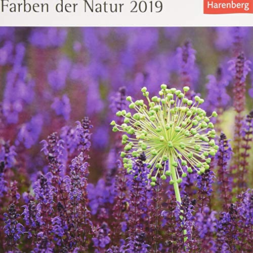 Farben der Natur - Kalender 2019: Kalender mit 53 Postkarten