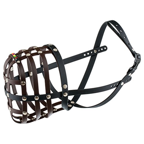 BUMAS-the-bespoke-muzzle-from-Biothane-in-Size-12-circumference-50-cmlength-13-cm