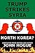 Trump Strikes Syria: and Korea? (English Edition) by