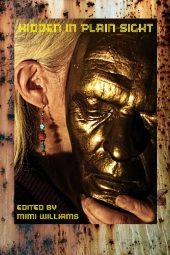 Preisvergleich Produktbild Hidden in Plain Sight