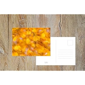Fotografie Postkarte 