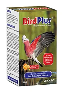 Sky Ec Bird Plus Multivitamins for All Birds to Healthy Growth Full Feathering Brilliant Colour (30 ml, Pack of 1) by Fifozone