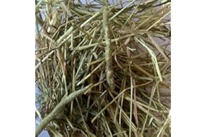 Glebe Farm Hay Timothy (Medium 1 KG) Grown in the UK