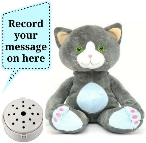 Splodge Recordable Gift Bear- 20cm - "Mr Mibbles" the cat - Record a 20 second personal message and send in a bear