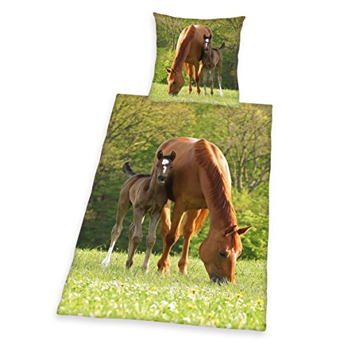 Herding 442428050 Bettwäsche Pferde Motiv, Kopfkissenbezug: 80 x 80 cm + Bettbezug: 135 x 200 cm, 100 % Baumwolle, Renforce
