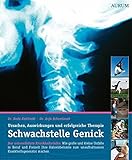 Image de Schwachstelle Genick: Ursache, Auswirkungen und erfolgreiche Therapie