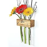 Fenstervase Buche gestockt 3er Blumenvase