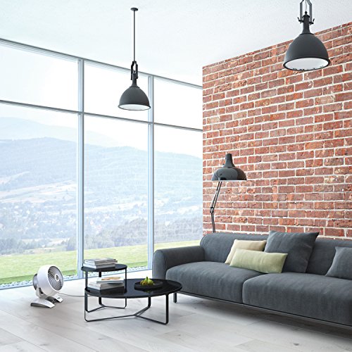 Vornado Energy Smart 6303DC - 6