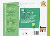 Image de Iris y la ira: Biblioteca de inteligencia emocional y educación en valores (Sentimientos y valores)