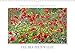 Produktbild Emotionale Momente: Die Blumenwiese. (Wandkalender 2020 DIN A3 quer): Ingo Gerlach GDT hat auf der holländischen Insel Texel eine Blumenwiese in allen ... (Monatskalender, 14 Seiten ) (CALVENDO Natur)