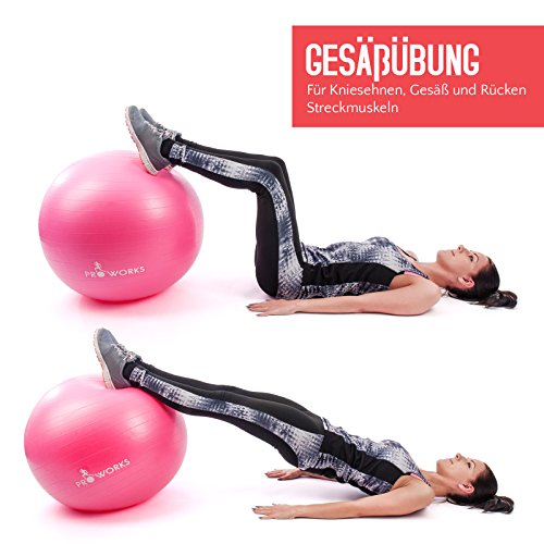 Proworks Anti-Platz Gymnastikball 65cm / 25.5” Hochleistungs Gymnastikball mit Pumpe - 5