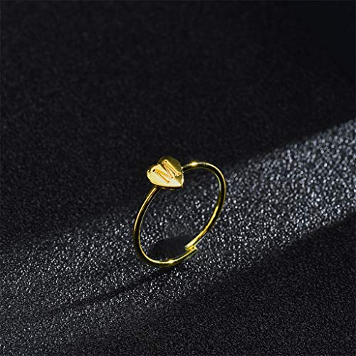 Preisvergleich Produktbild ringgrößenmesser schmuckwerkzeuge ringeinlagen, Ring maat adjuster met zilverpoetsdoek