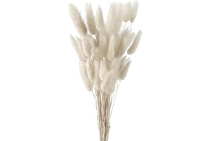 FENGCHUANG di Bouquet di Erba di Pampas Secca 60 Pezzi Decorazione Tavolo Boho Fiori Secchi di Coda di Coniglio Pampas Marrone Pampas per Matrimoni Decorazioni per la Casa (Bianca)