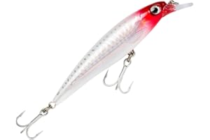 Rapala X-Rap - Señuelo de Pesca de Agua Salada