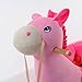 Baby Animal Rocker Rocking With Baby & Musical Sounds