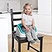Ingenuity SmartClean Toddler Booster (Aqua)