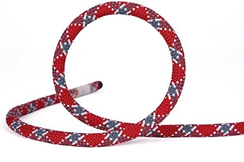 Garden Twine Brisk Climbing Auxiliary Rope Static Rope Safety Rescue Rope Diameter 10mm (Color : Red- Diameter 10MM, Size : 100(320ft))